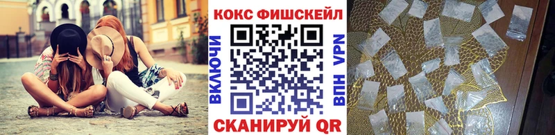 купить наркотик  Долгопрудный  COCAIN Fish Scale 